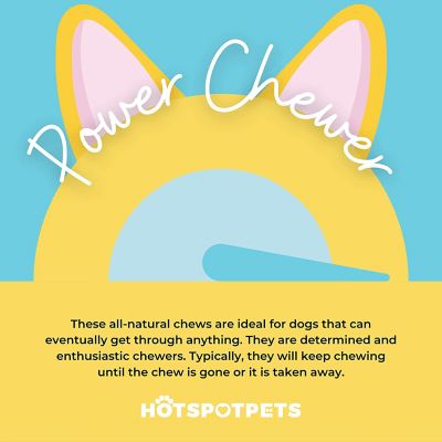 Image showing 5 th Hotspot Pets Roasted Beef Femur Bone Center Cut Dog Chew Treat