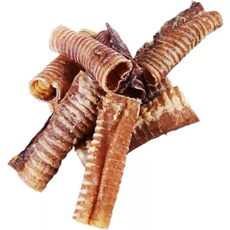 Hotspot Pets Whole Beef Trachea Tubes for Dogs Chew Treats 6 ct Dog Bones Rawhide & Rawhide Alternative