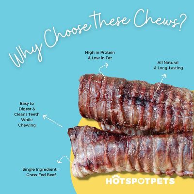 Image showing  6 in. Whole Beef Trachea Tubes Dog Chew Treats, 12 ct.