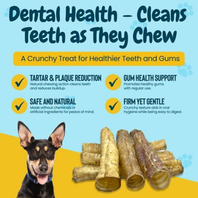 Image showing 5 th Hotspot Pets 12 in. Whole Beef Trachea Tubes Dog Treats, 3 ct.
