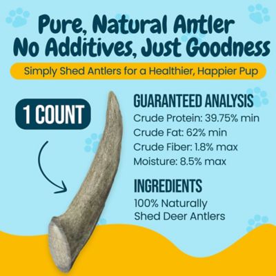 Image showing  All-Natural Small Whole Deer Antler Dog Chew Treat