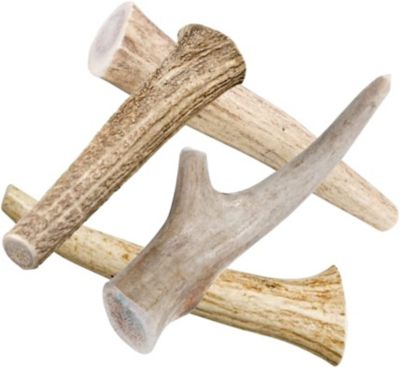 Hotspot Pets All Natural Small Whole Deer Antler Dog Chew Treats, 2 ct.
