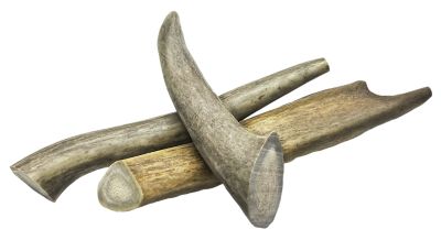 Hotspot Pets All Natural Small Whole Deer Antler Dog Chew Treats, 3 ct.