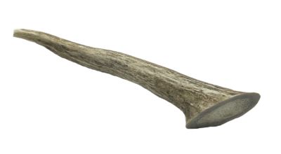 Hotspot Pets All-Natural Medium Whole Deer Antler Dog Chew Treat