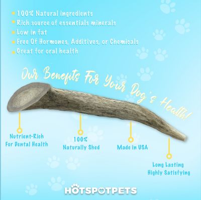 Image showing  All-Natural Medium Whole Deer Antler Dog Chew Treat