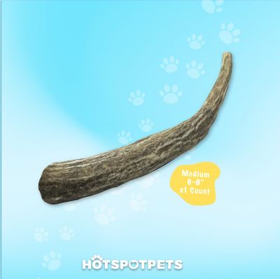 Image showing  All-Natural Medium Whole Deer Antler Dog Chew Treat