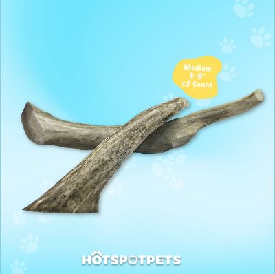 Image showing  6-9 in. Medium Whole Deer Antler Dog Treats, 2 ct.