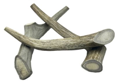 Hotspot Pets All-Natural Medium Whole Deer Antler Dog Chew Treats, 3 ct.