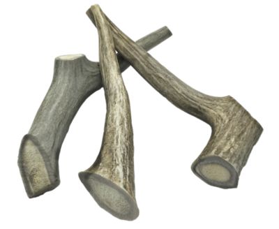 Image showing  All-Natural Medium Whole Deer Antler Dog Chew Treats, 3 ct.