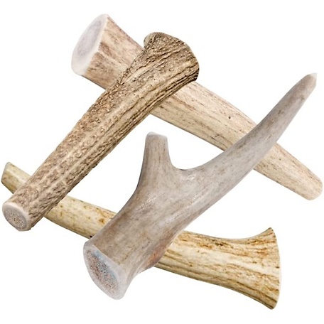 Hotspot Pets All-Natural Large Whole Deer Antler Dog Chew Treat