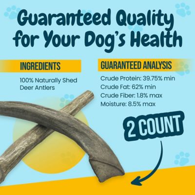 Image showing  All-Natural Large Whole Deer Antler Dog Chew Treats, 2 ct.