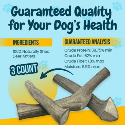 Image showing  All-Natural Large Whole Deer Antler Dog Chew Treats, 3 ct.
