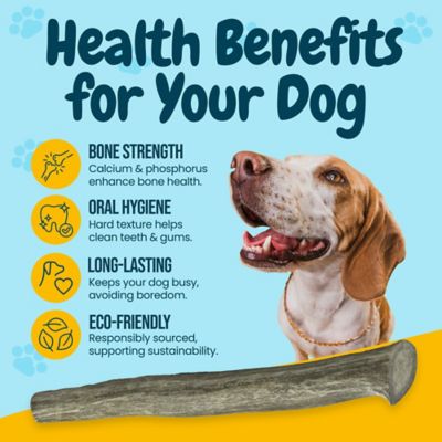 Image showing  All-Natural Large Whole Deer Antler Dog Chew Treats, 3 ct.