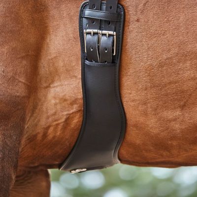 Image showing  Anatomic Synthetic English Girth