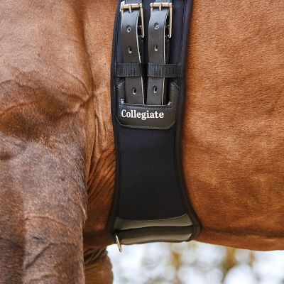 Collegiate Memory Foam Dressage Girth