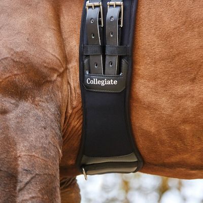 Image showing  Memory Foam Dressage Girth