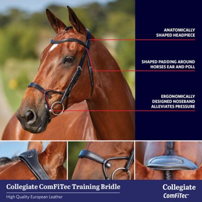 Image showing  ComFiTec Training Bridle