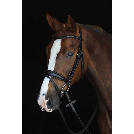 Collegiate Mono Crown Padded and Raised Flash Bridle