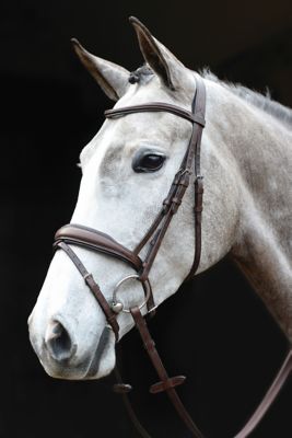 Collegiate Mono Crown Padded and Raised Flash Bridle