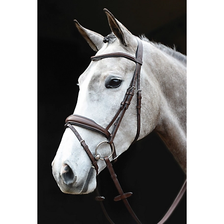 Collegiate Mono Crown Padded and Raised Flash Bridle