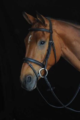 Image showing  Comfort Crown Padded Raised Flash Bridle