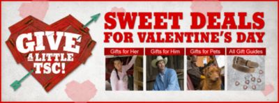 Image showing  Comfort Crown Padded Raised Flash Bridle