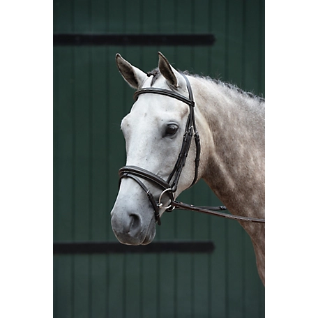 Collegiate Essential Padded Raised Fancy Stitched Flash English Bridle