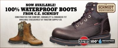 Image showing  Essential Padded Raised Flash Bridle