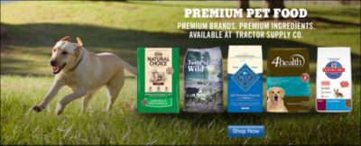 Image showing  Syntovia+ Padded and Raised Figure-8 Bridle