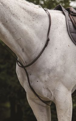 Image showing 0 th Collegiate II Series Raised Standing Martingale