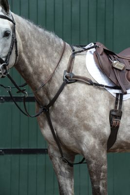 Collegiate Essential 5-Point Saddle Breastplate