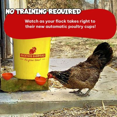 Image showing  Jumbo Automatic Poultry Cup Drinker, 6-Pack