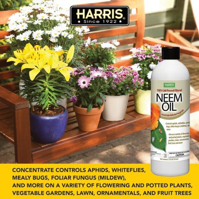 Image showing  12 oz. Organic 100% Cold Pressed Neem Oil For Plants, 2-Pack