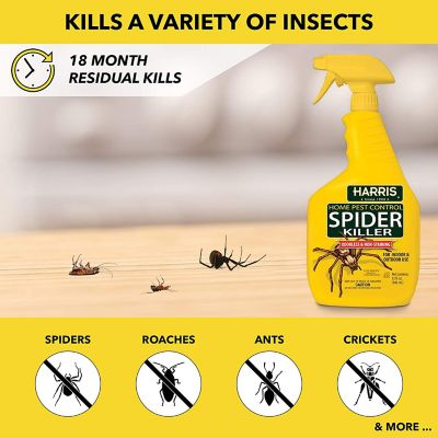 Image showing  32 oz. Spider Killer, Liquid Spray with Odorless and Non-Staining Formula