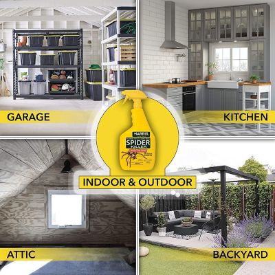 Image showing  32 oz. Spider Killer, Liquid Spray with Odorless and Non-Staining Formula