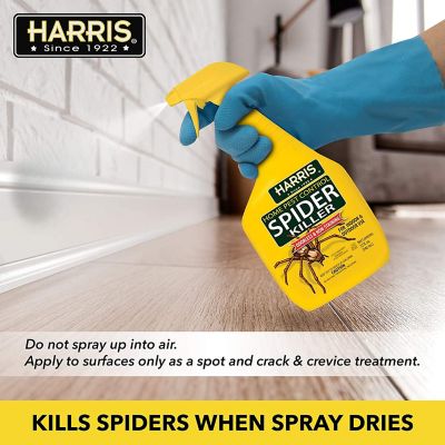 Image showing  32 oz. Spider Killer, Liquid Spray with Odorless and Non-Staining Formula