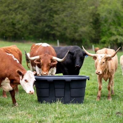 Image showing  100 gal. Poly Tank, 2 ft. x 2 ft. x 4 ft., Black
