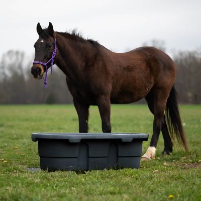 Image showing 5 th Century 50 gal. Poly Tank, 2 ft. x 1 ft. x 4 ft., Black
