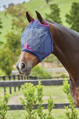 WeatherBeeta ComFiTec Durable Mesh Horse Fly Mask