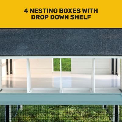 Image showing  Walk-In Chateau Chicken Coop, 14 Chicken Capacity