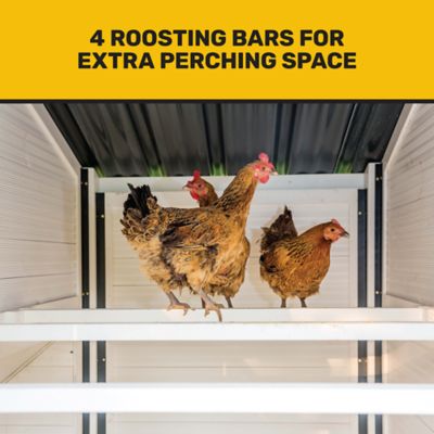 Image showing  Walk-In Chateau Chicken Coop, 14 Chicken Capacity