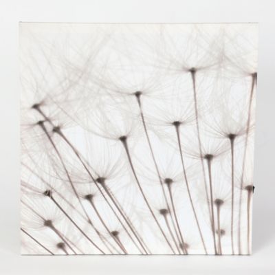 Image showing  Dandelion Lighted Canvas Prints, 3 pc.