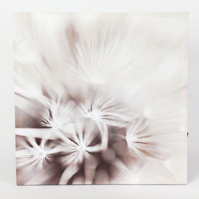 Image showing  Dandelion Lighted Canvas Prints, 3 pc.