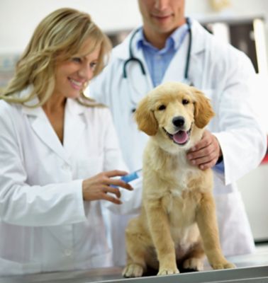 tsc pet vaccinations