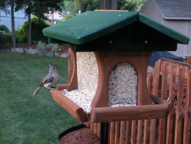 Bird houses shop at tractor supply