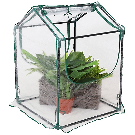 Sunnydaze Decor 2 ft. x 2 ft. Clear Mini Greenhouse with 2 Side Doors