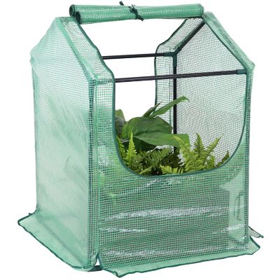 Sunnydaze Decor 2 ft. x 2 ft. Green Mini Greenhouse with 2 Side Doors