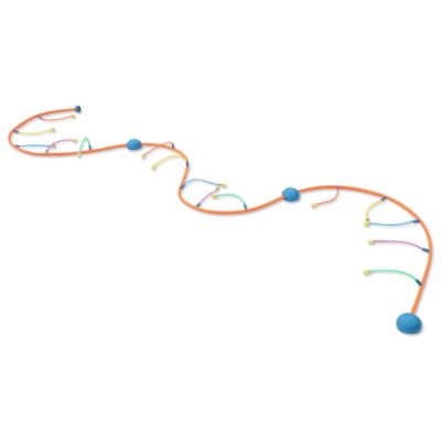 Image showing  Wigglin Water Sprinkler