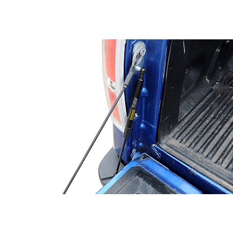 Dee Zee Tailgate Assist for 2015+ Ford F-150