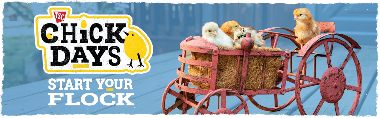 Chick Days | Tractor Supply Co.